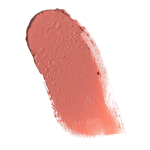 Day After Morocco lipstick swatch