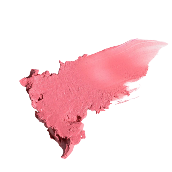 Let's Flamingle lipstick swatch