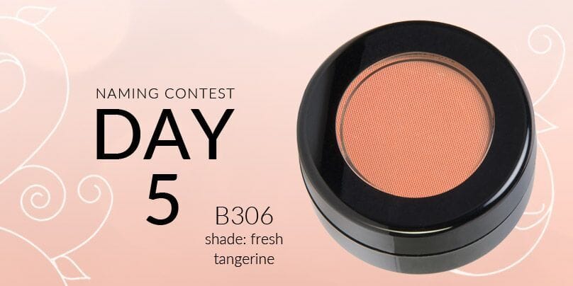 Red Apple Lipstick’s Blush + Bronzer Naming Contest: Day 5 CLOSED